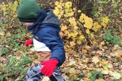 Domeček pro zvířátka-Žabičky