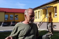 Draví ptáci