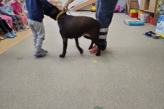 Kanisterapie u Kuřátek