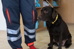 Kanisterapie u žabiček