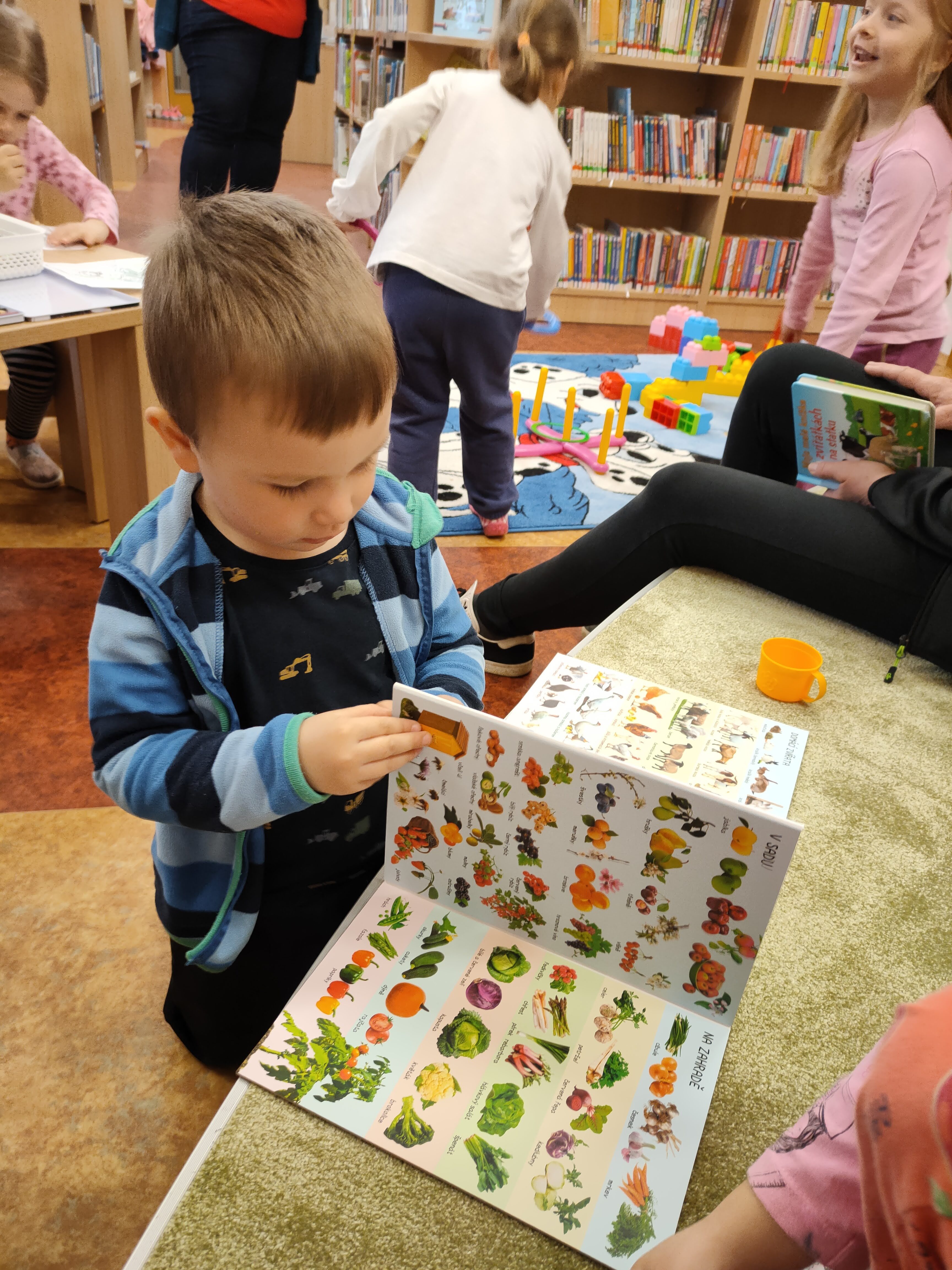 IMG20230327085641