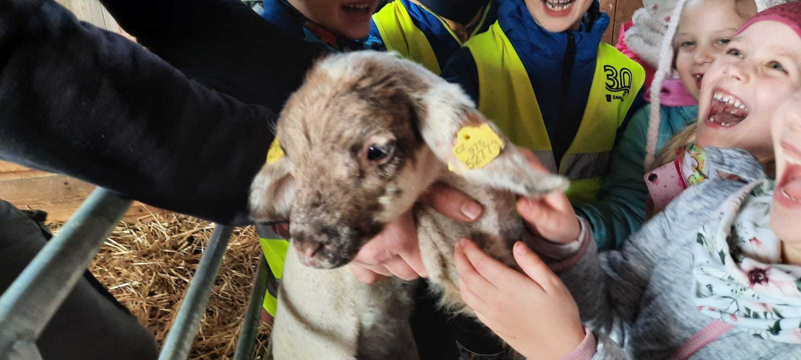 PHOTO-2023-03-31-11-47-05-2