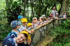 Návštěva ZOO - Krtečci