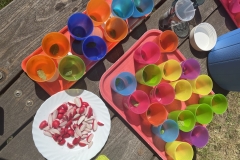 Ochutnávka první sklizně