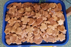 Pečení perníčků Žabičky