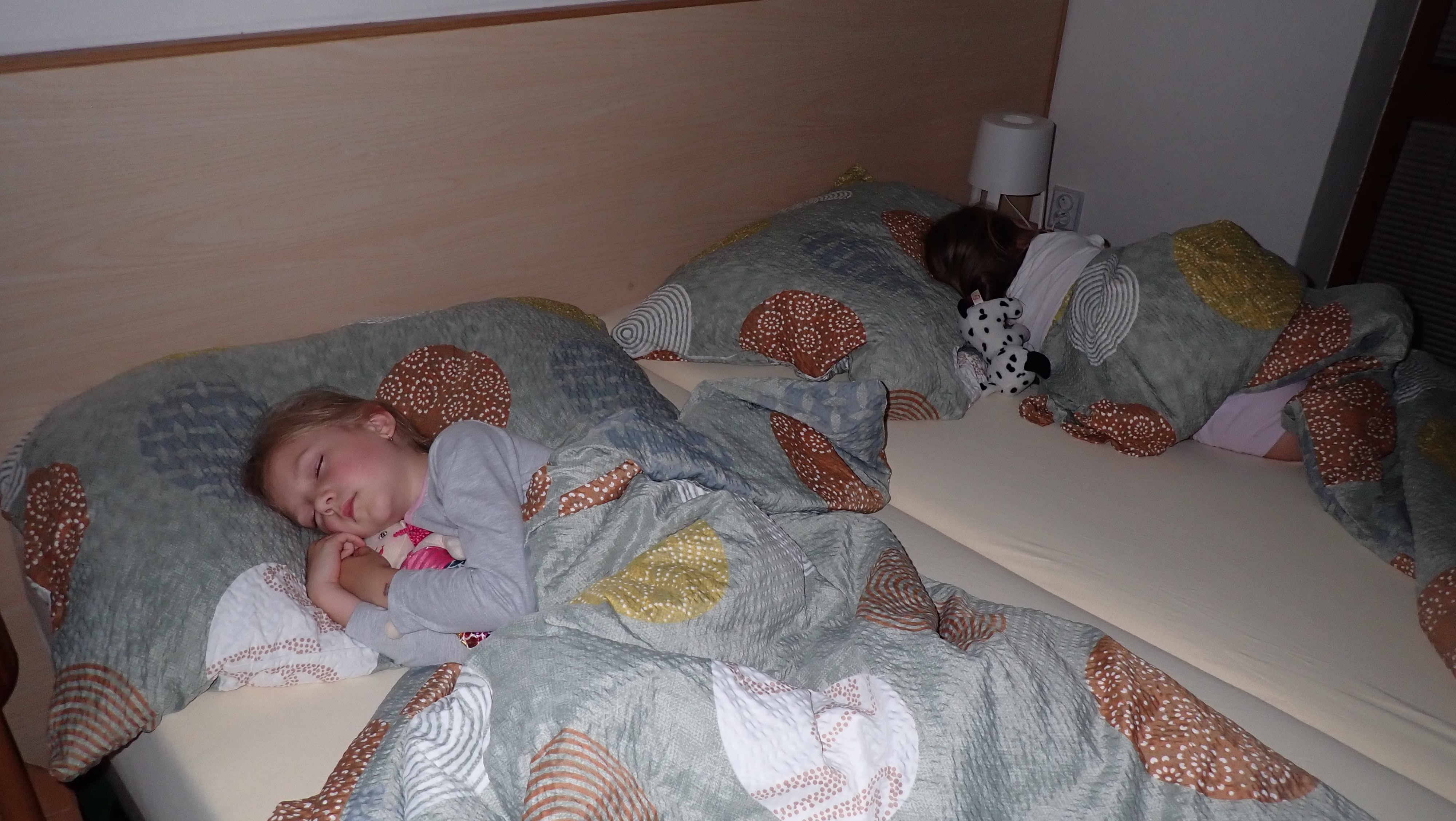 P6287030