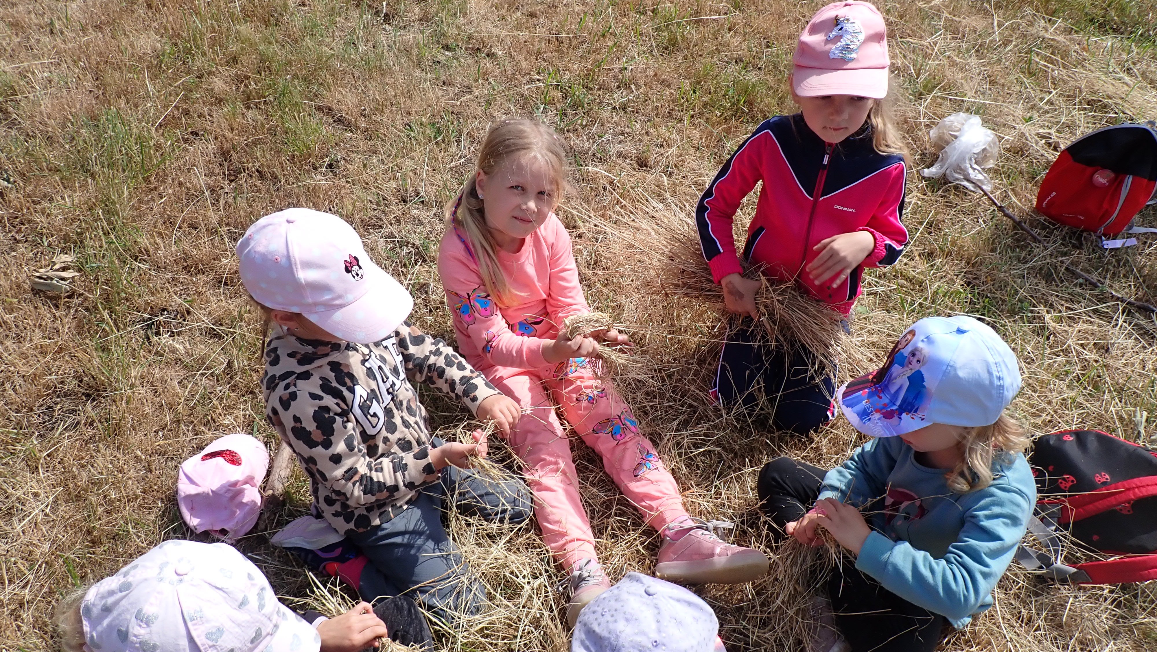 P6287120