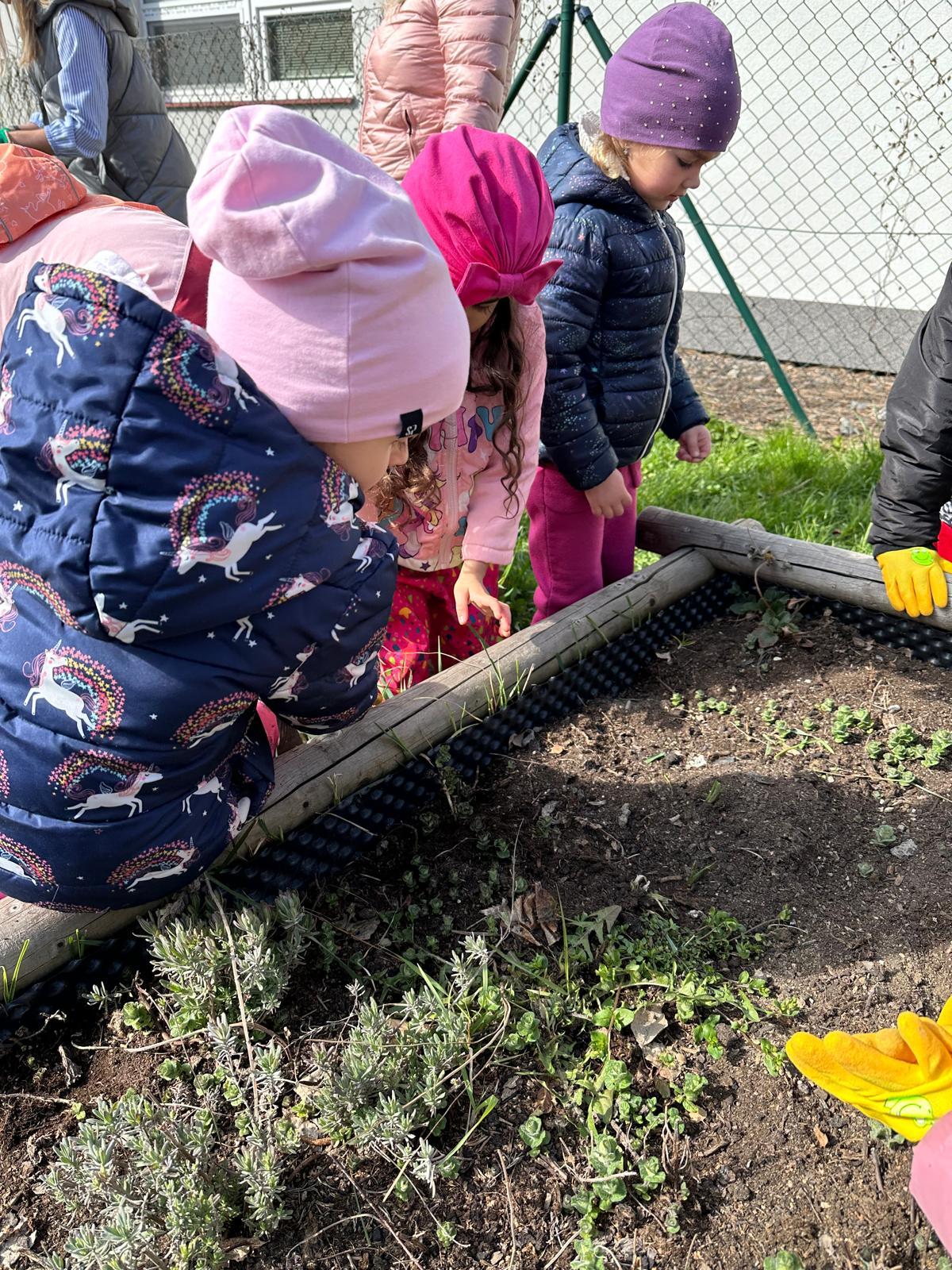 PHOTO-2025-04-25-18-36-00