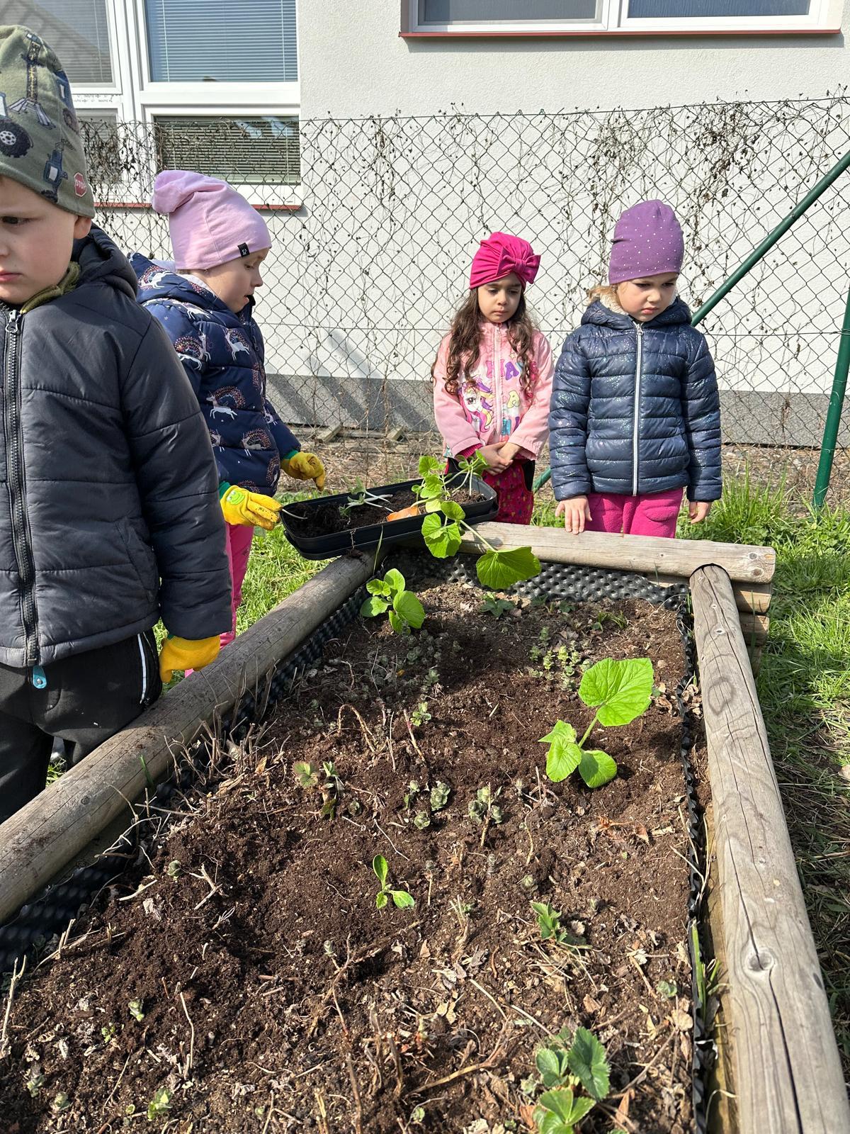 PHOTO-2025-04-25-18-36-01-2