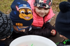 Vánoční nadílka Žabičky