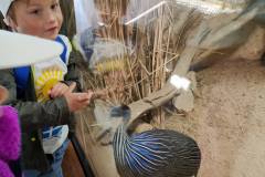 Výlet do Zoo Kuřátka