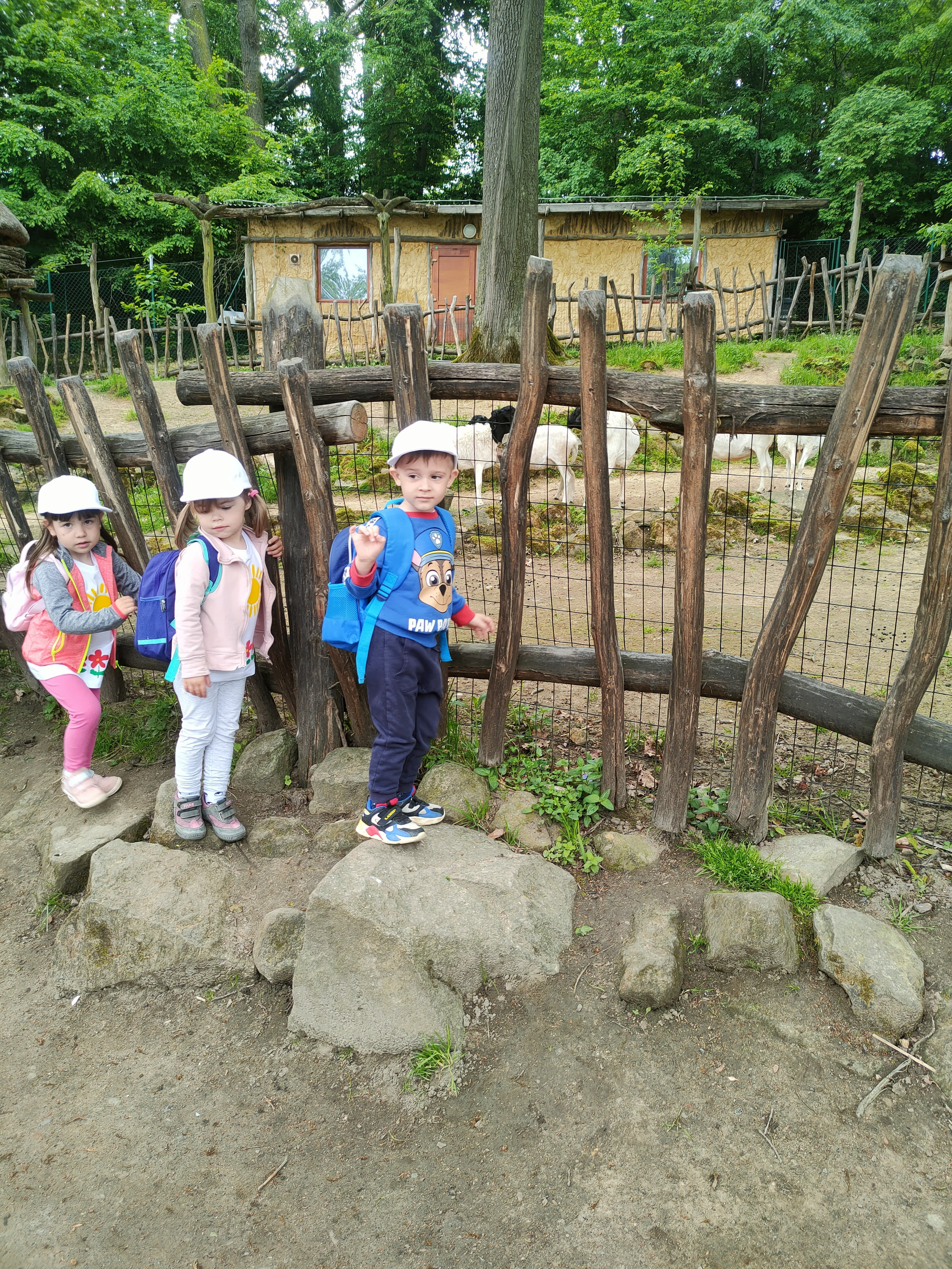 IMG20230523091558