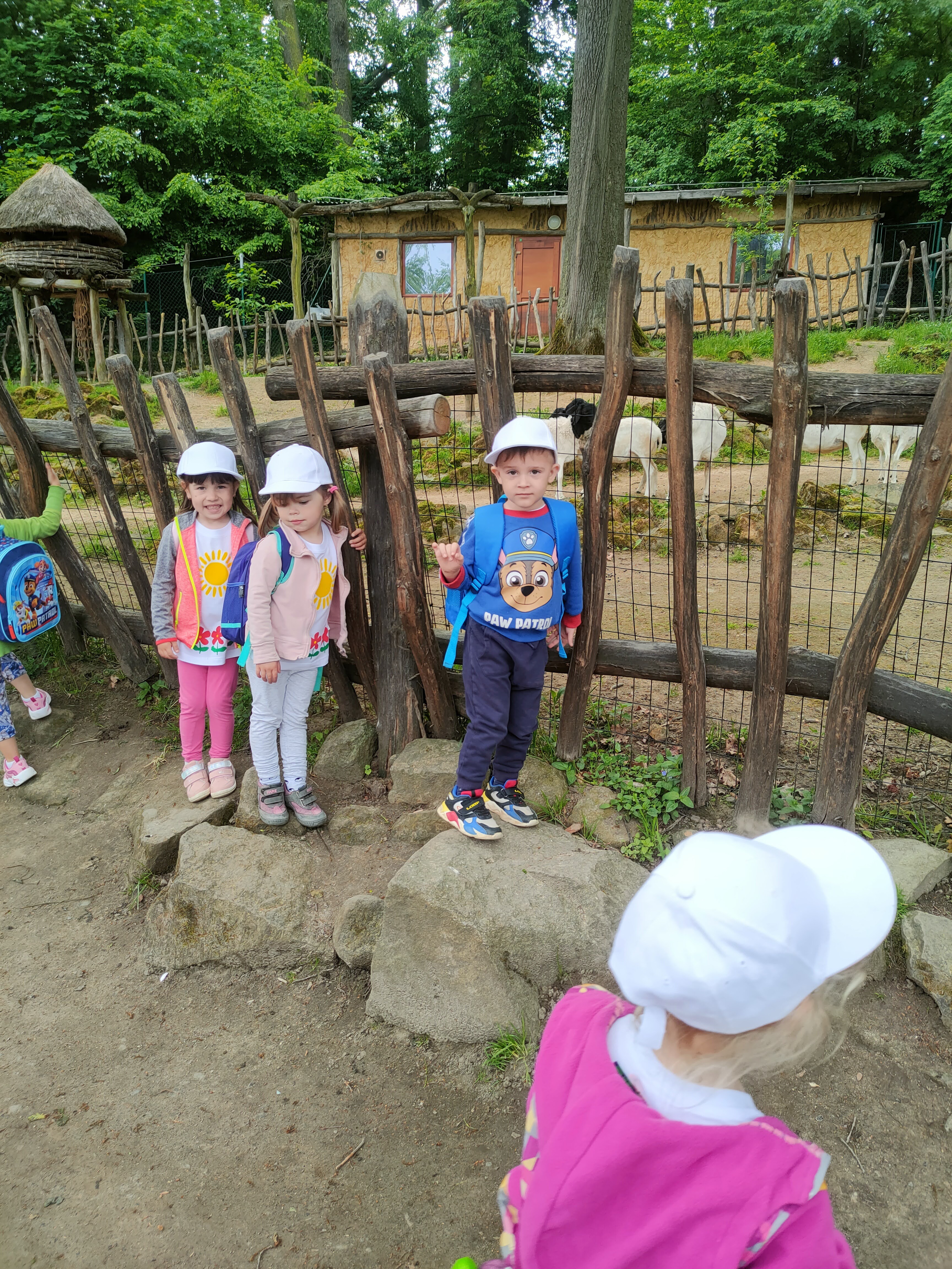 IMG20230523091600