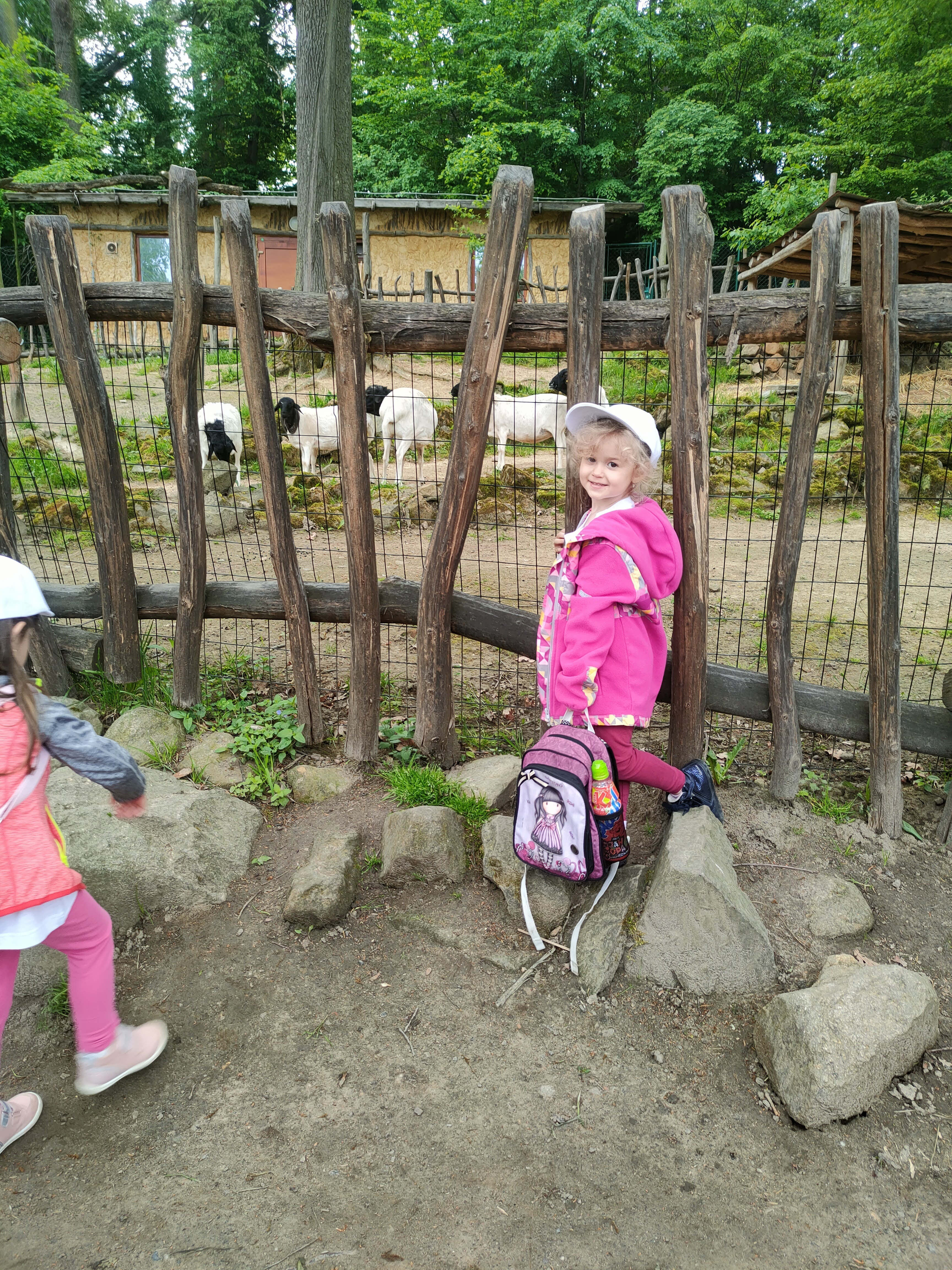 IMG20230523091609