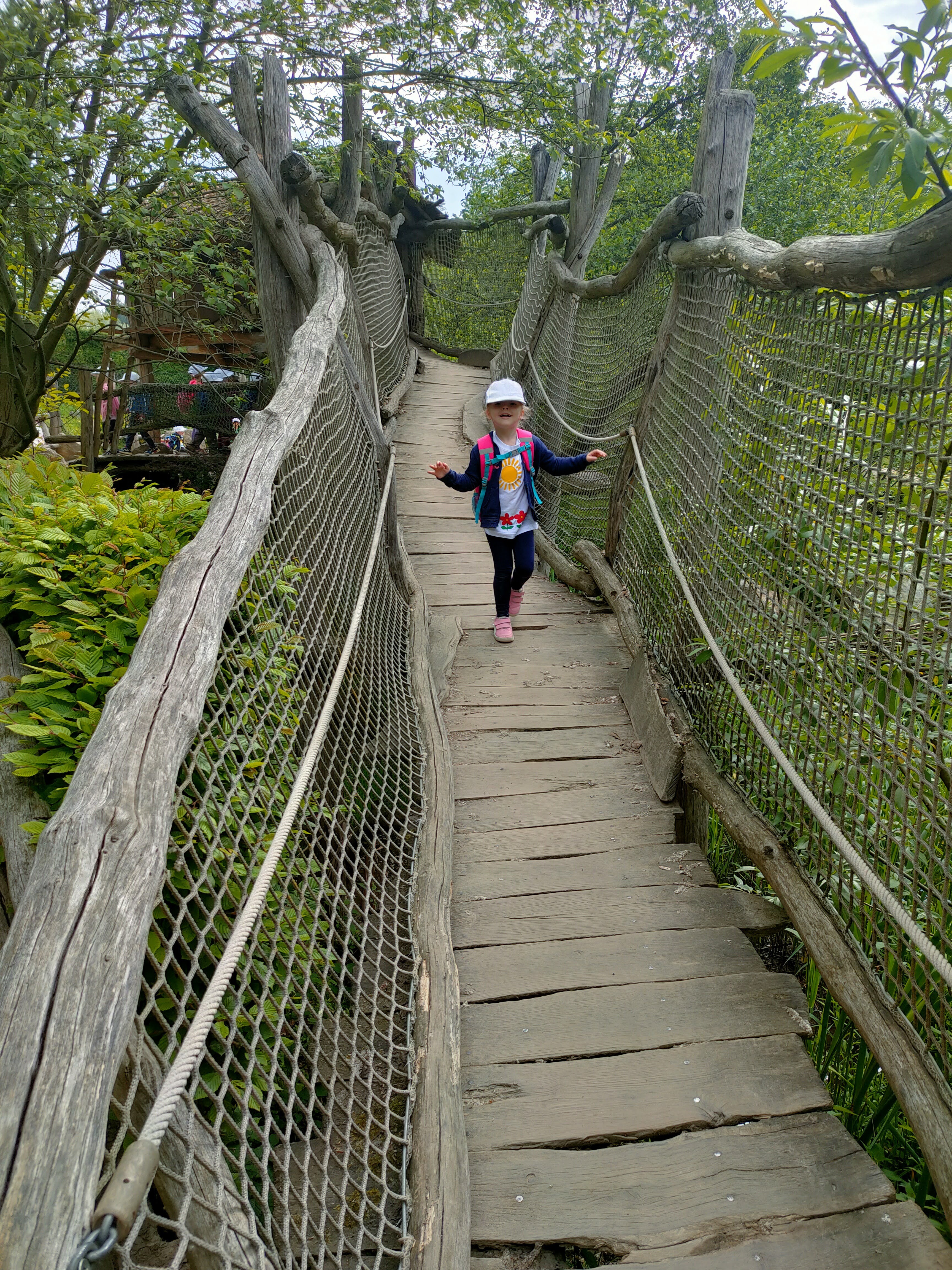 IMG20230523093109