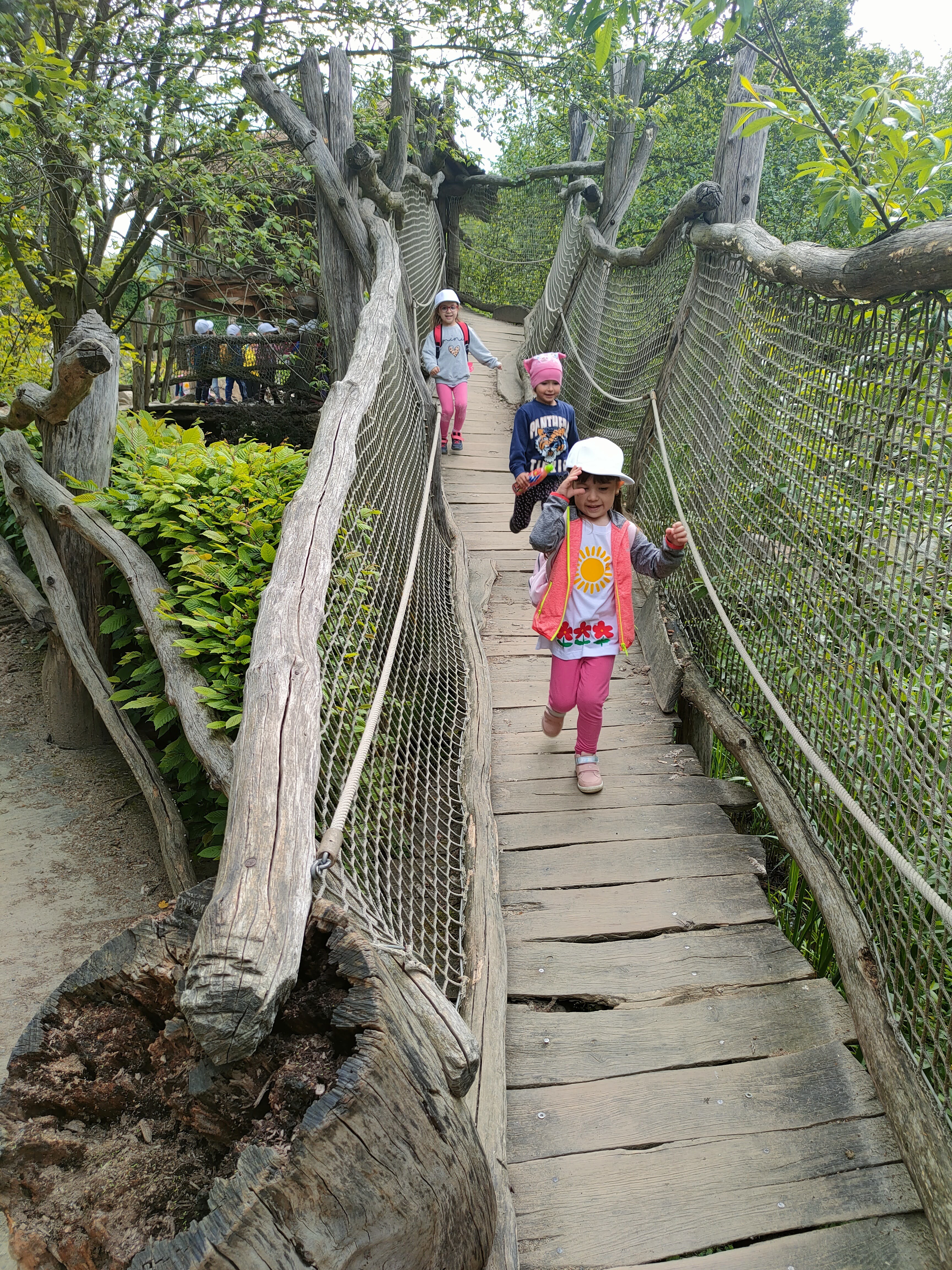IMG20230523093148