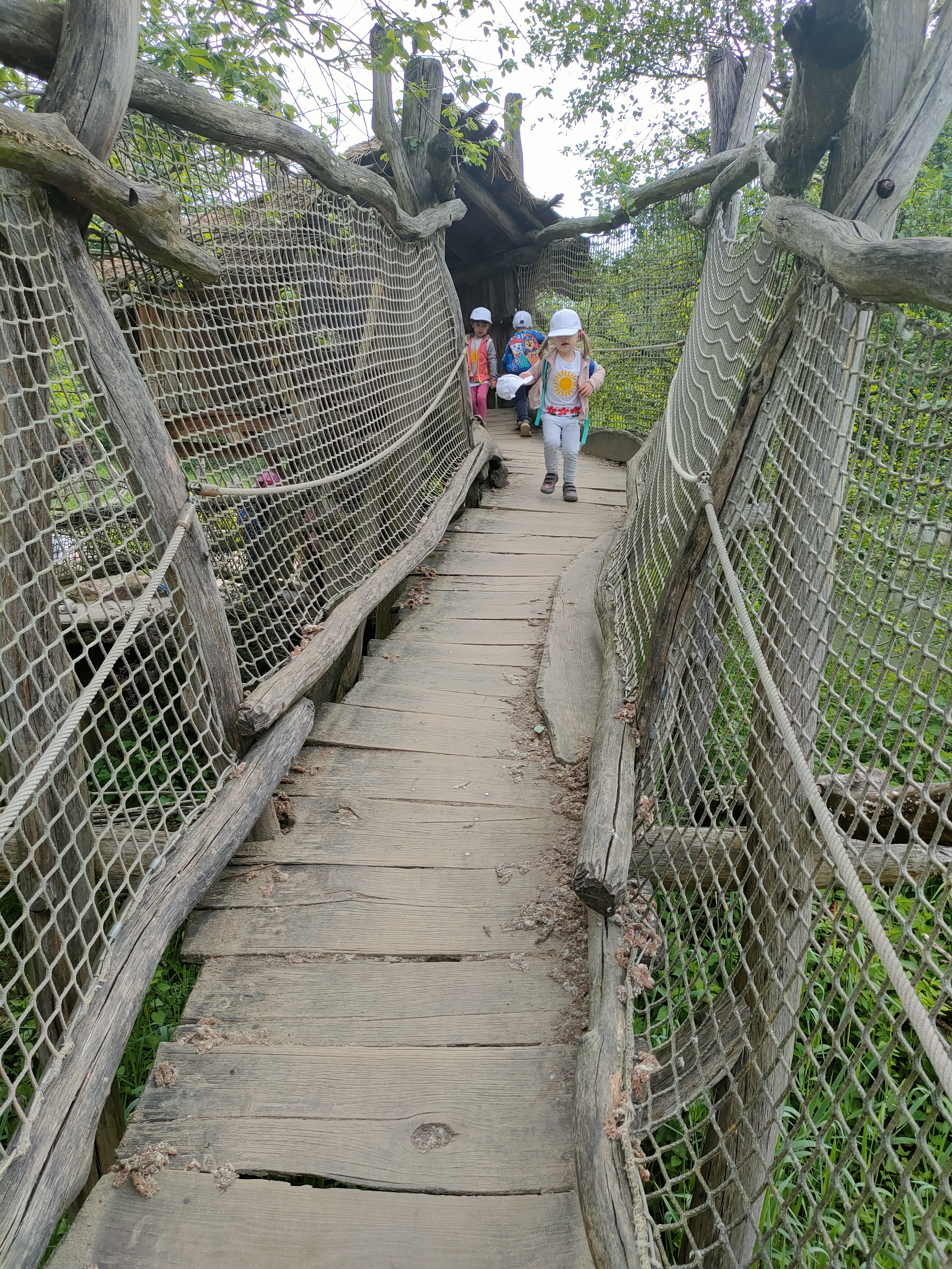 IMG20230523093226