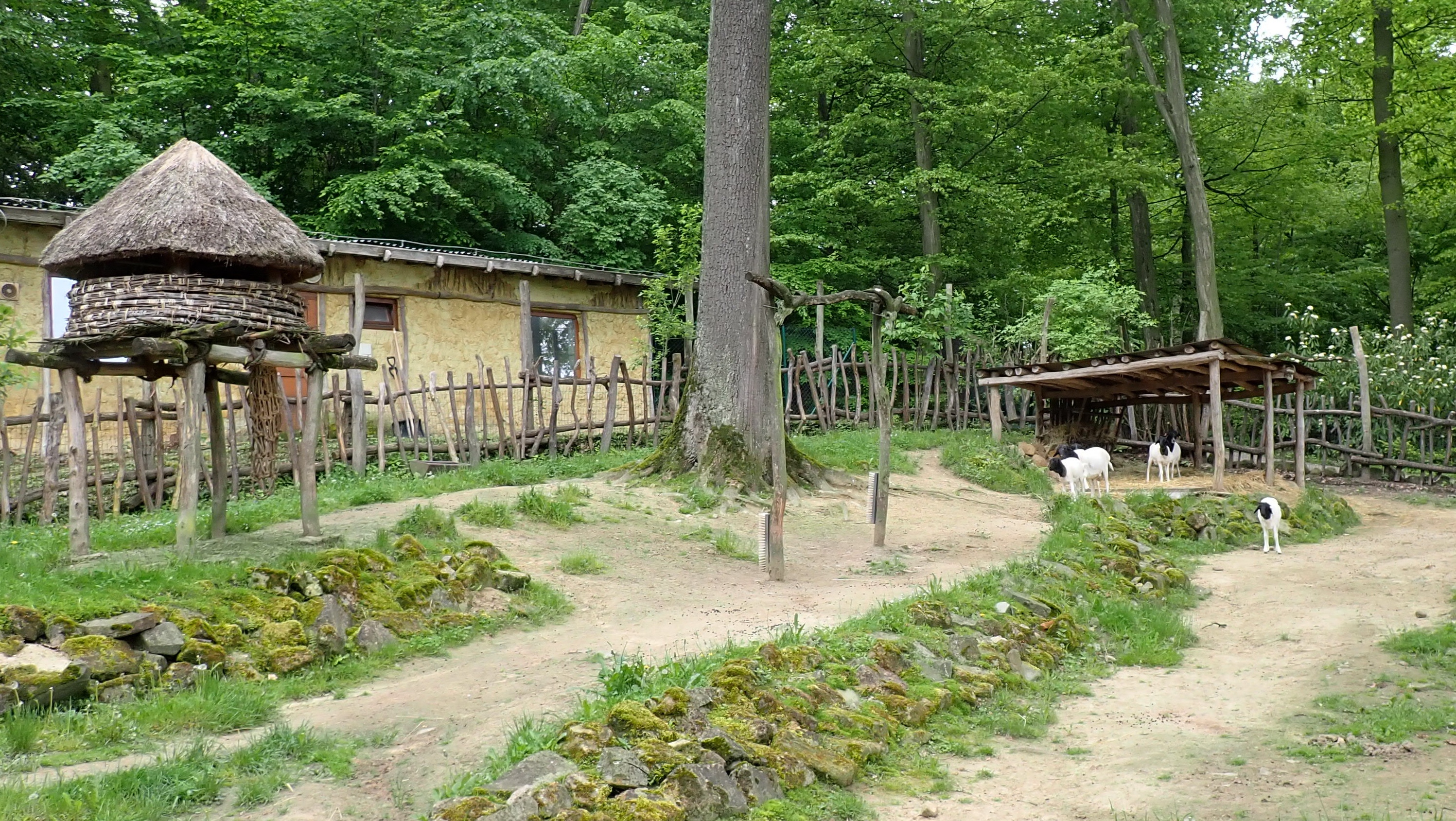 P5235417
