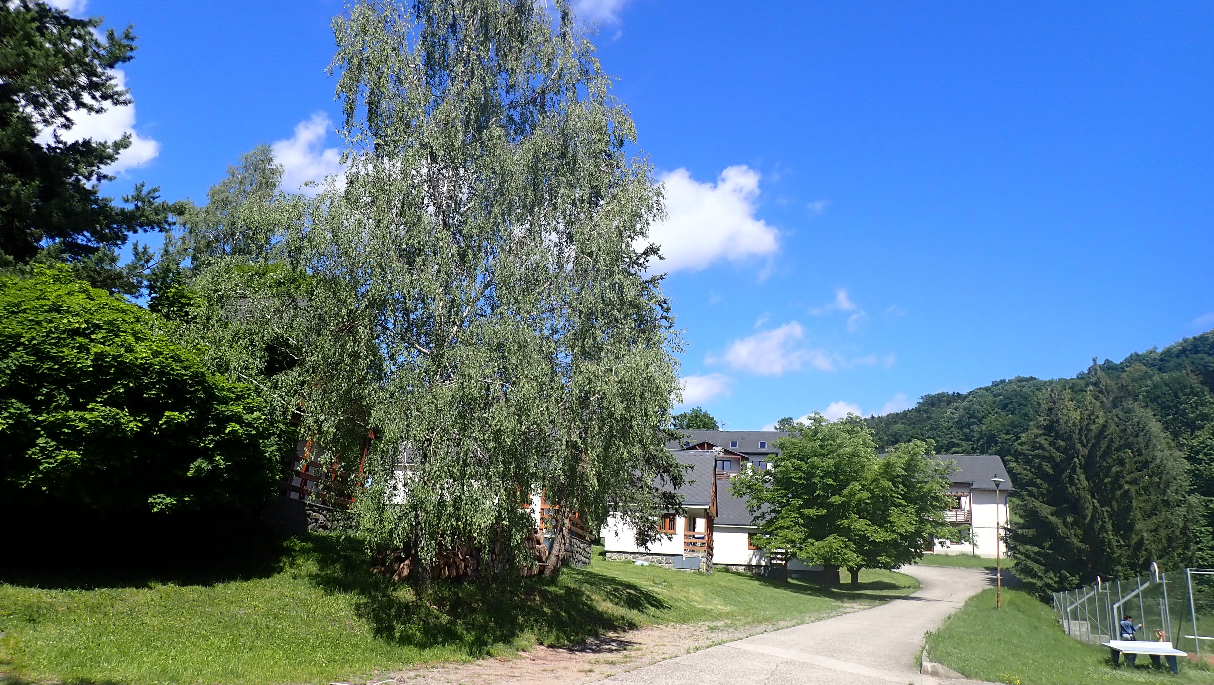 P6214449