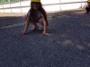 20170602_105537