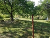 20170622_095320