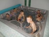 dscn0352