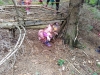 img_20160614_143621