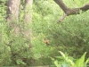 img_20160525_093509