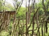 img_20160525_110701