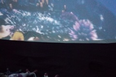 Žabičky v planetáriu