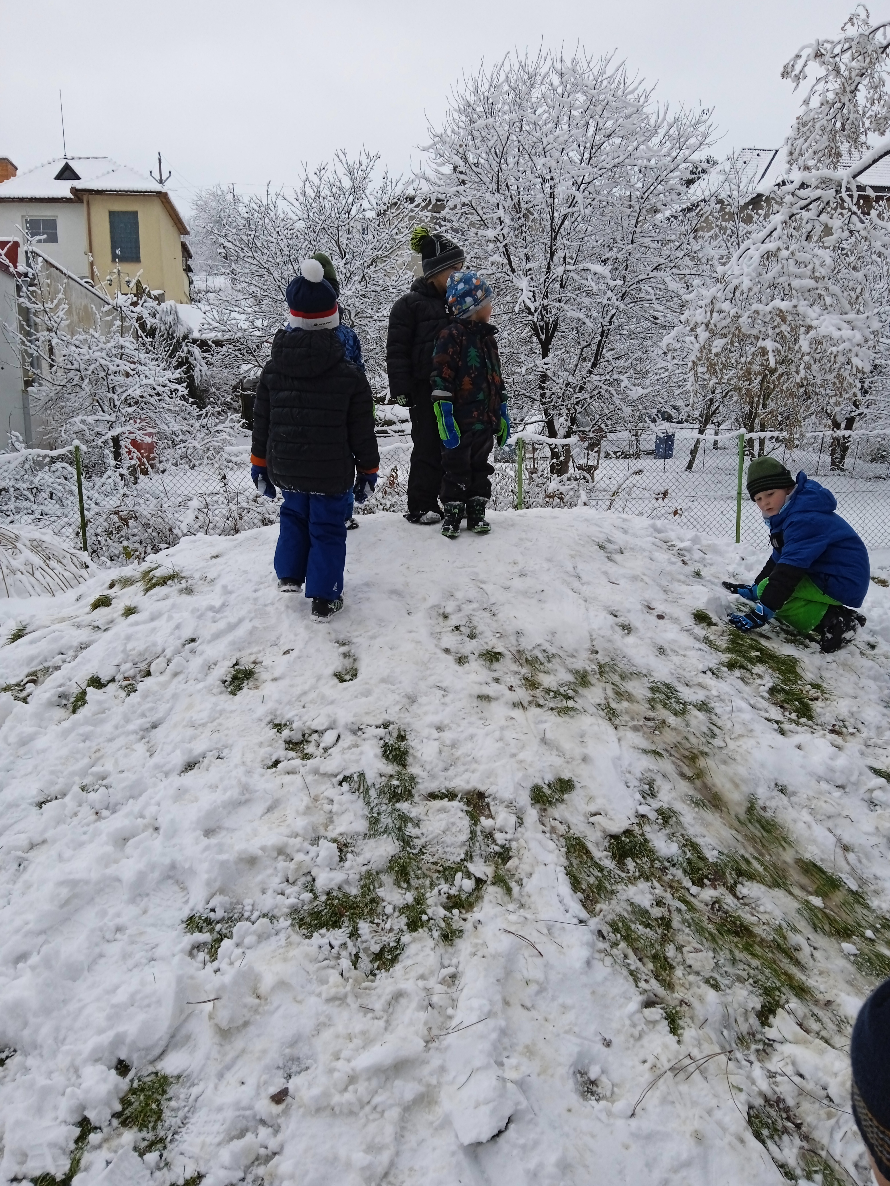 IMG_20211210_104844